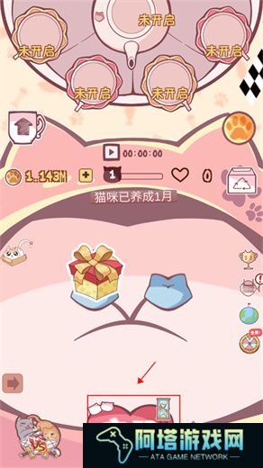云撸猫咪