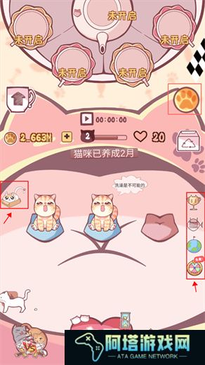 云撸猫咪