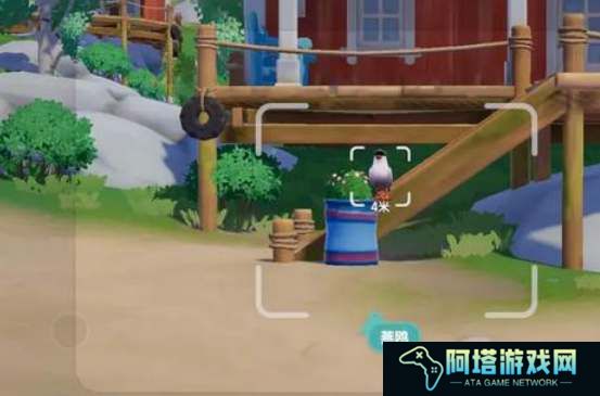 心动小镇海鸥观鸟位置攻略
