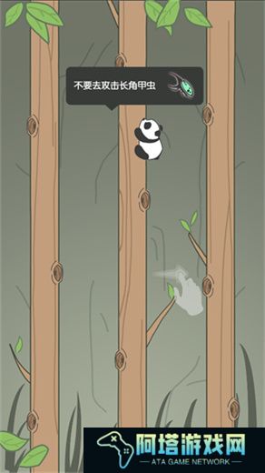 熊猫爬树