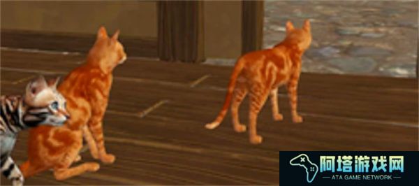 猫咪格斗战争模拟器