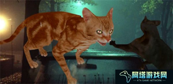 猫咪格斗战争模拟器