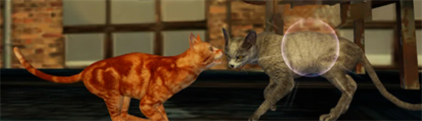 猫咪格斗战争模拟器