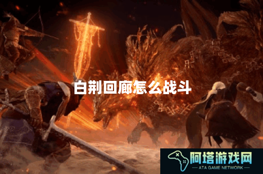 白荆回廊怎么战斗