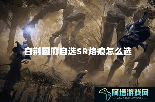 白荆回廊自选SR烙痕怎么选