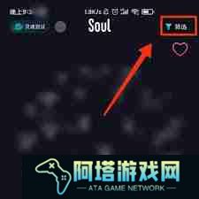 soul如何筛选性别