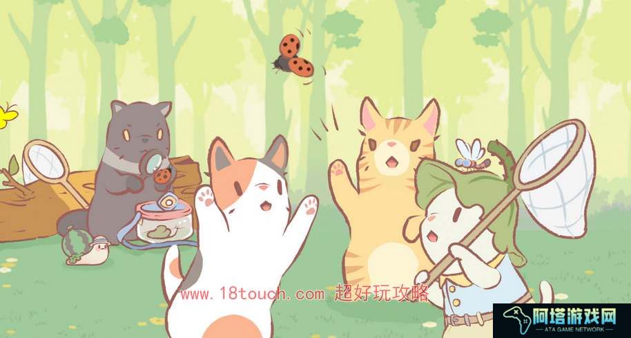 猫咪和汤设施升级顺序推荐