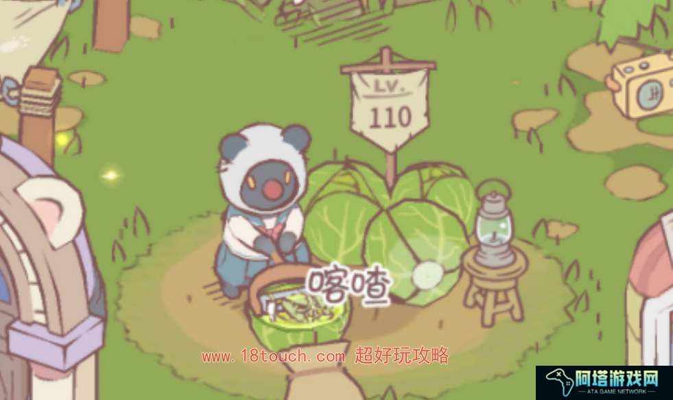 猫咪和汤内测奖励如何领取
